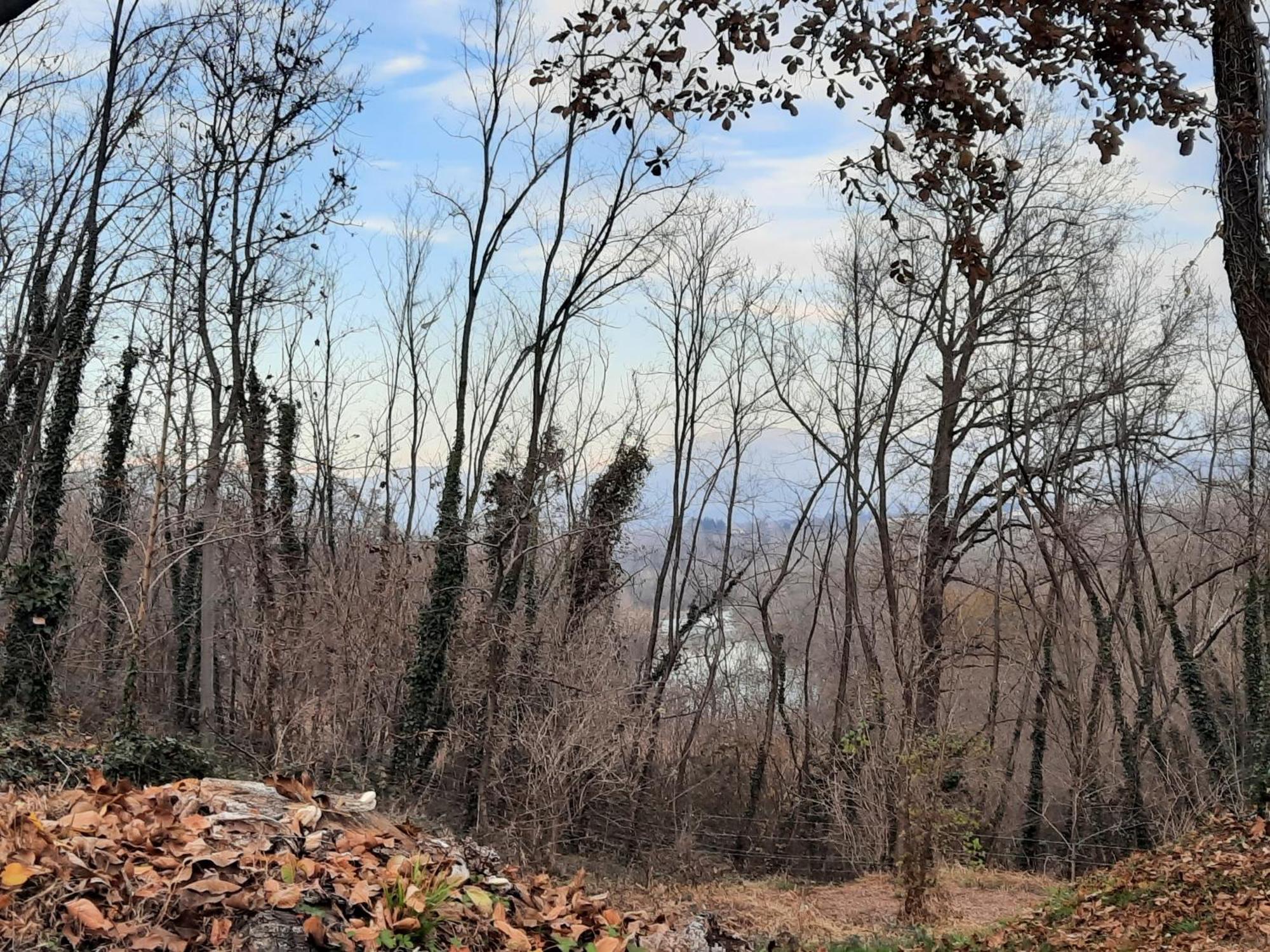 Casa Vacanze Selva Premariacco Luaran gambar